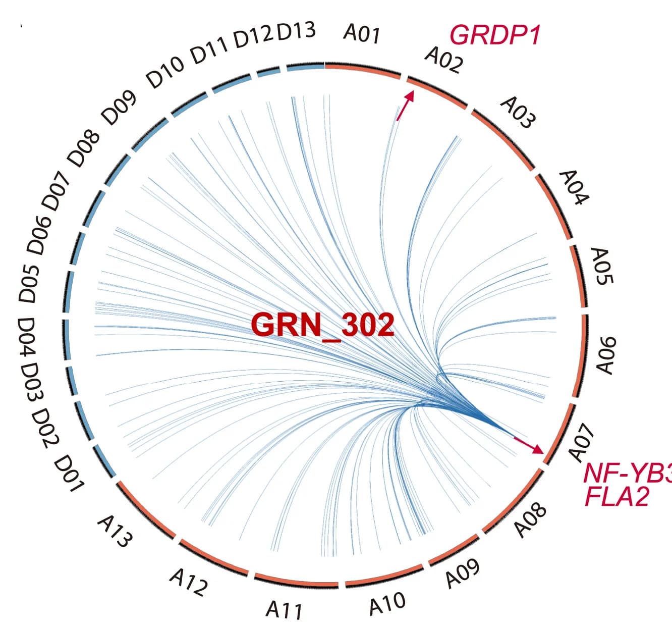 Open access visualization of Chord, Network, Circos Plot, Autosomes, eGenes