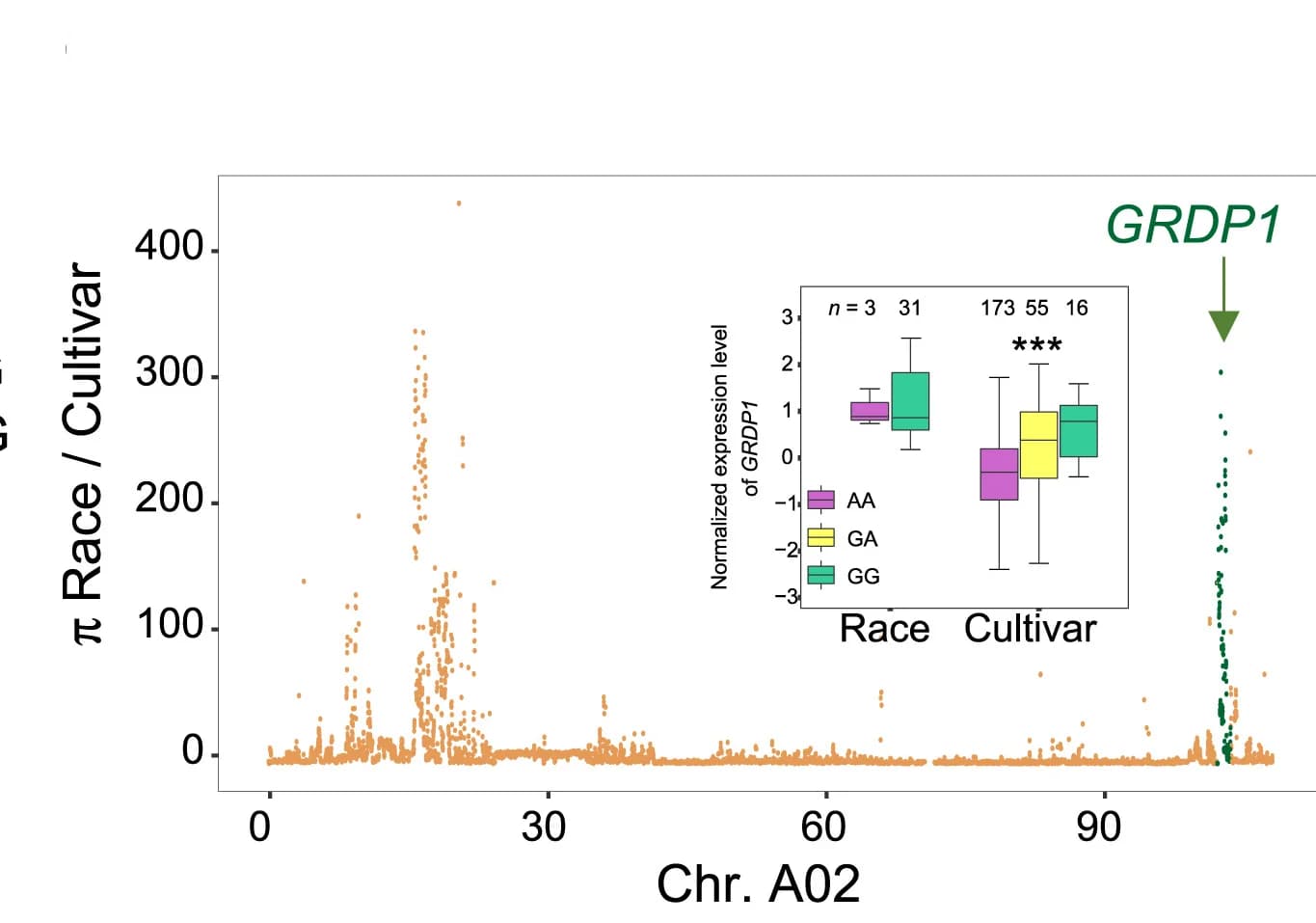 Open access visualization of Manhattan Plot, Box Plot, Domestication Sweeps, Wild Populations, Cultivar Populations