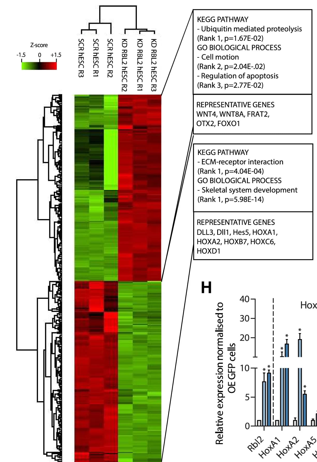 Open access visualization of Heatmap, Clustered, Bar Plot, Error Bars, RBL2