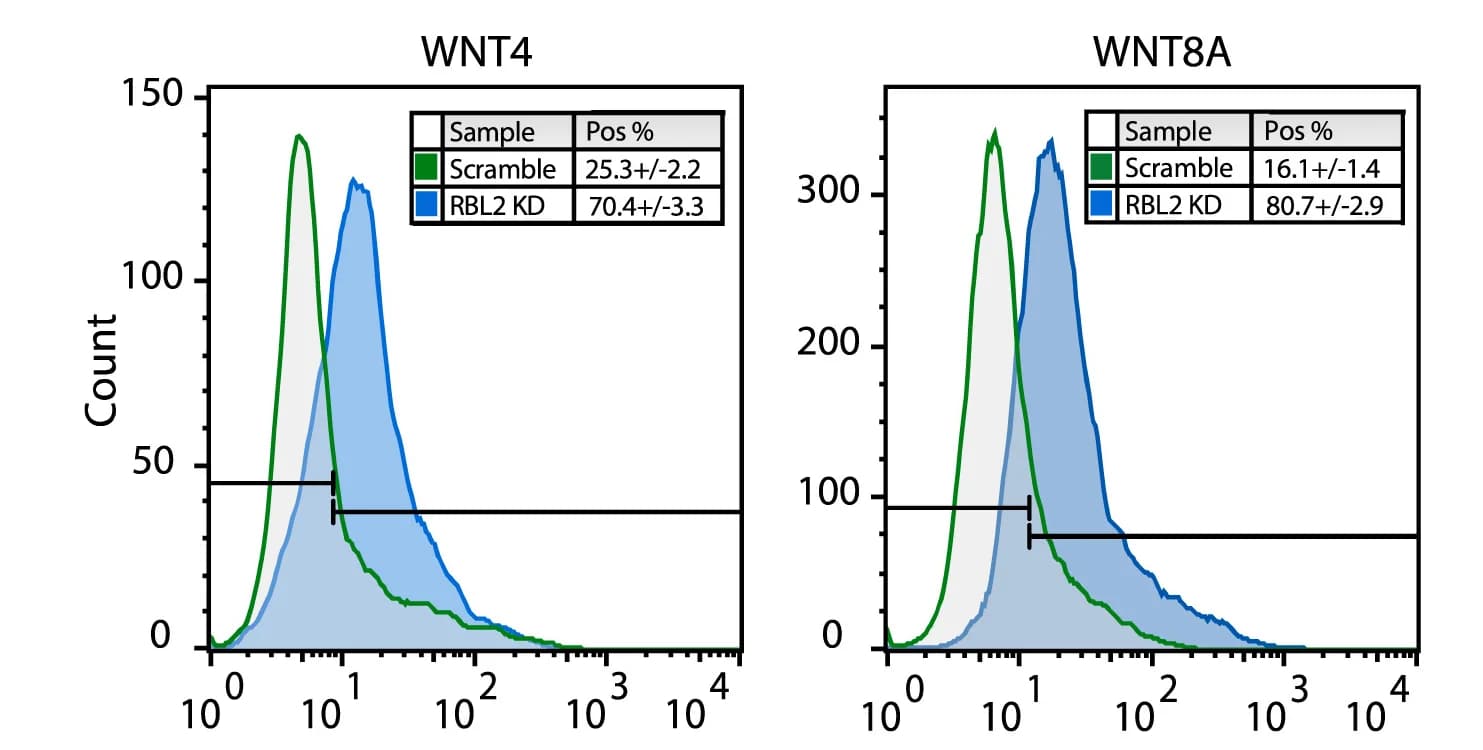 Open access visualization of Line Plot, Density Plot, Error Bars, WNT4 Expression, WNT8A Expression