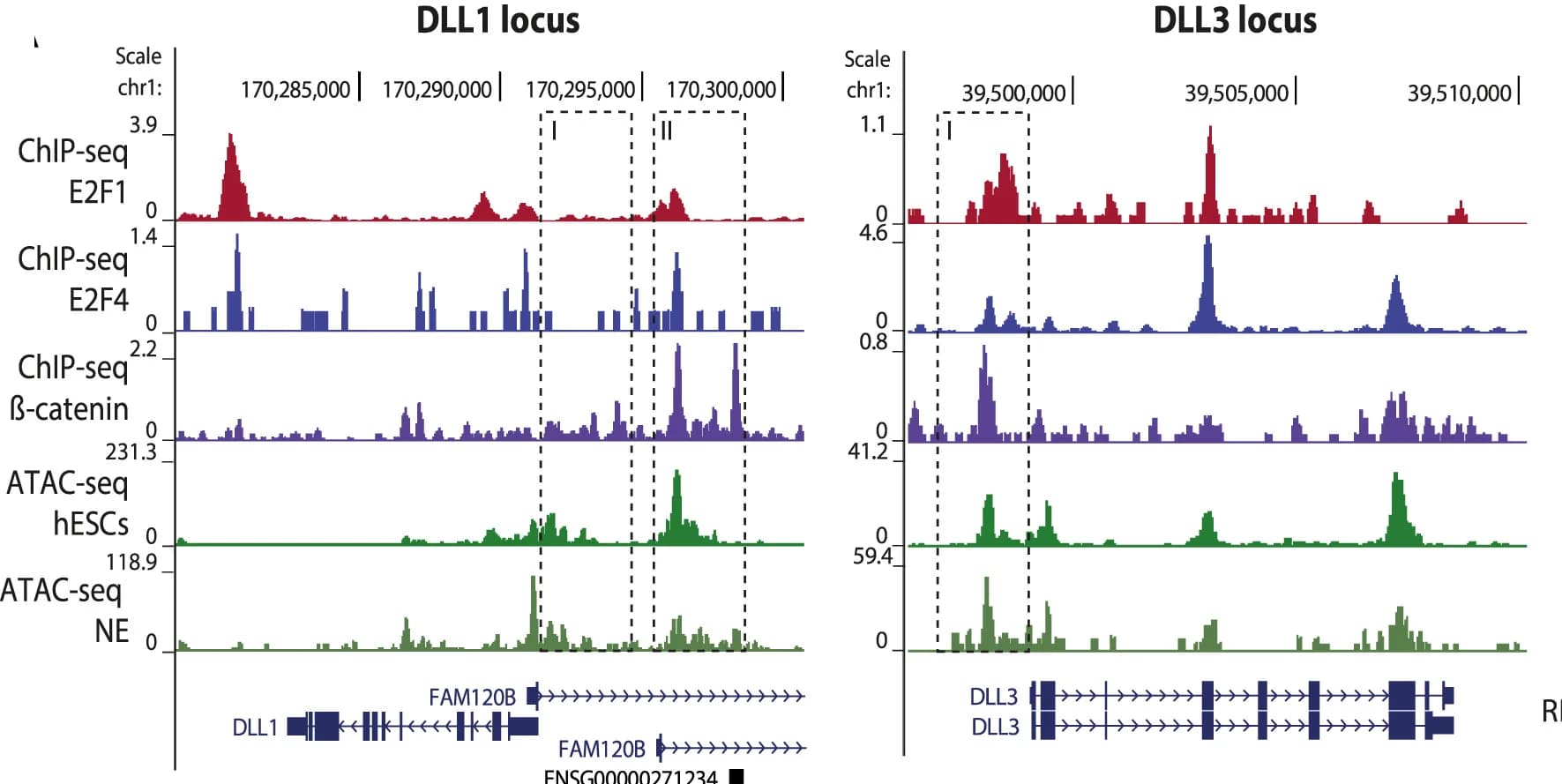 Open access visualization of Line Plot, Line Step, DLL1, DLL3, E2F1