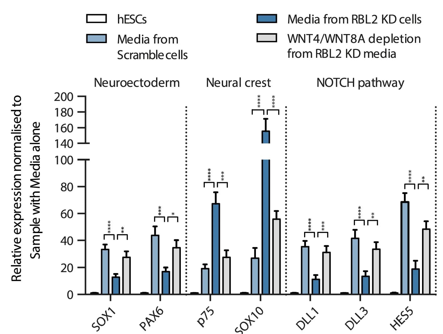 Open access visualization of Bar Plot, Error Bars, Clustered, RBL2, Cell Fate Decisions