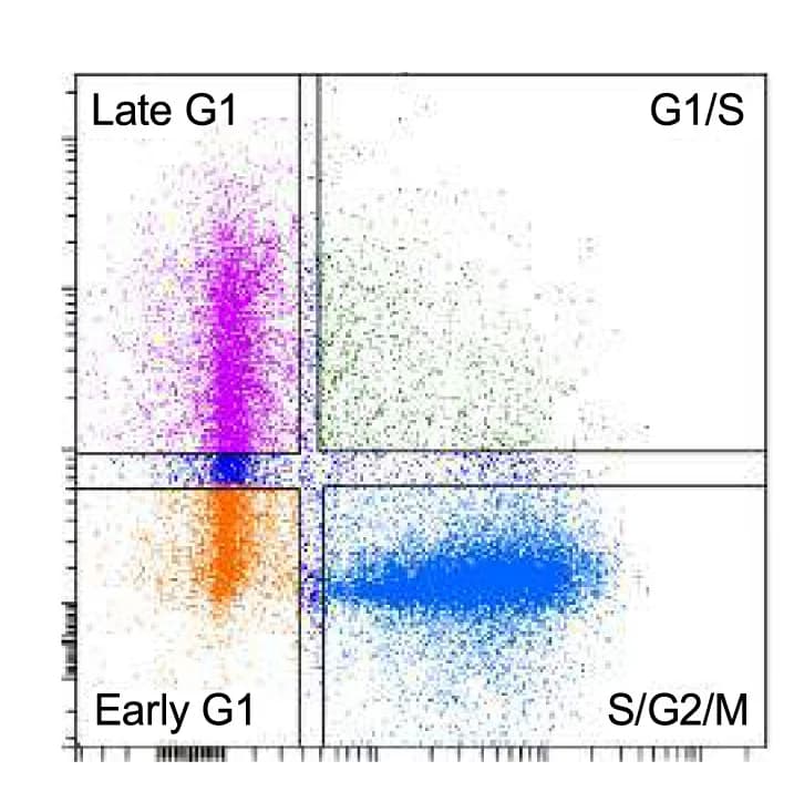 Open access visualization of Scatter Plot, Dot Plot, FUCCI-expressing cells