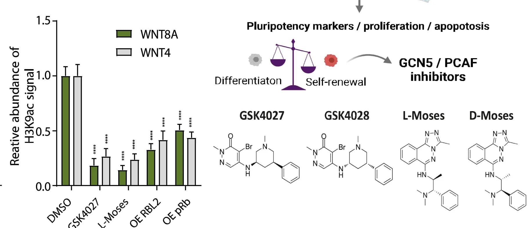 Open access visualization of Bar Plot, Error Bars, Chemical Structure, Illustration, GCN5 Inhibitors