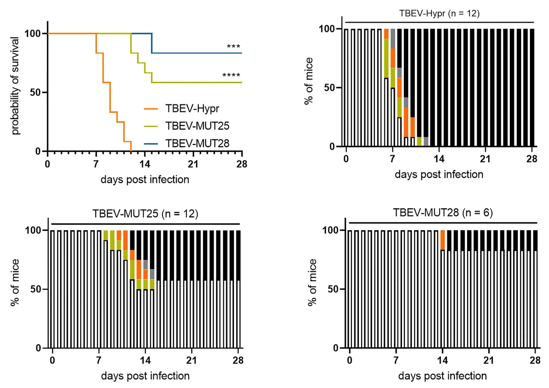 Open access visualization of Survival Curve, Bar Plot, Stacked Bar Plot, Mouse model, Virulence
