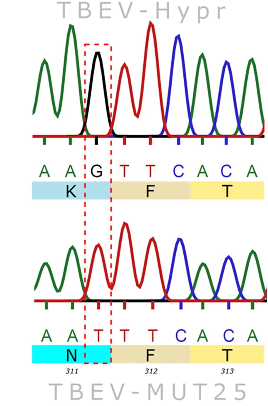 Open access visualization of Line Plot, Mutation, K311N, N-linked glycosylation