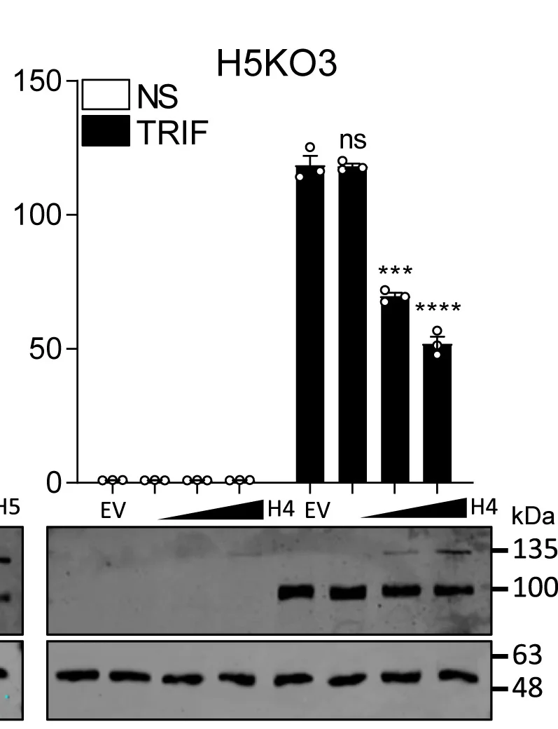 Open access visualization of Bar Plot, Error Bars, Photo, Gel, HDAC5
