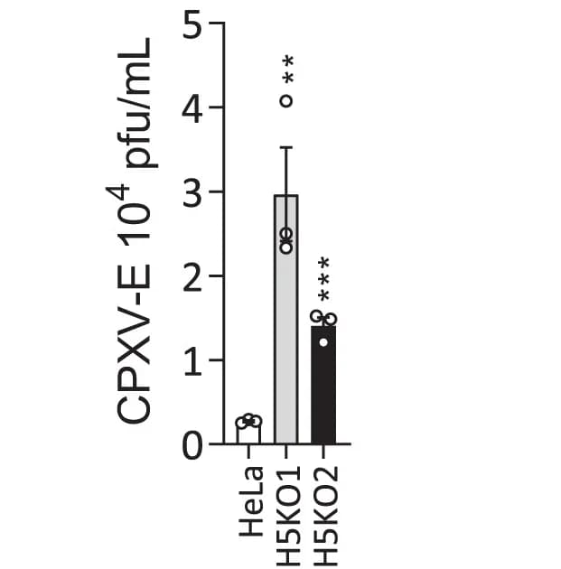 Open access visualization of Bar Plot, Error Bars, Scatter Plot, Orthopoxviruses, HDAC5