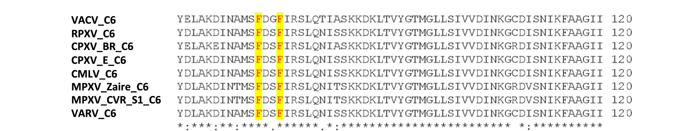 Open access visualization of Table Image, Sequence Alignment, Orthopoxvirus, C6 Proteins, VACV