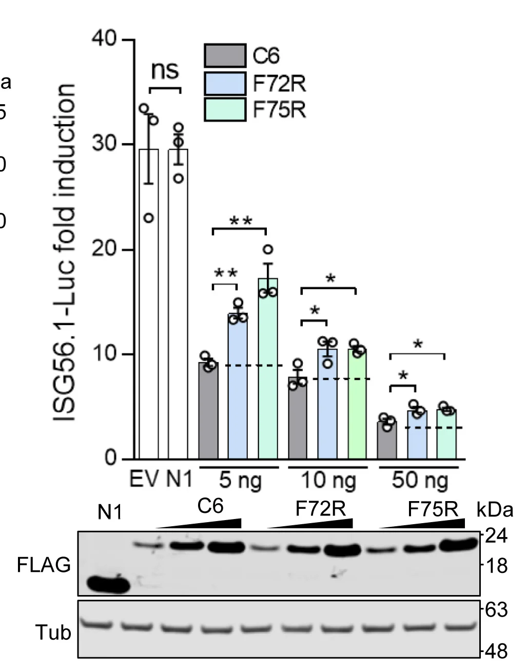 Open access visualization of Bar Plot, Error Bars, Gel, C6 Mutants, F72R