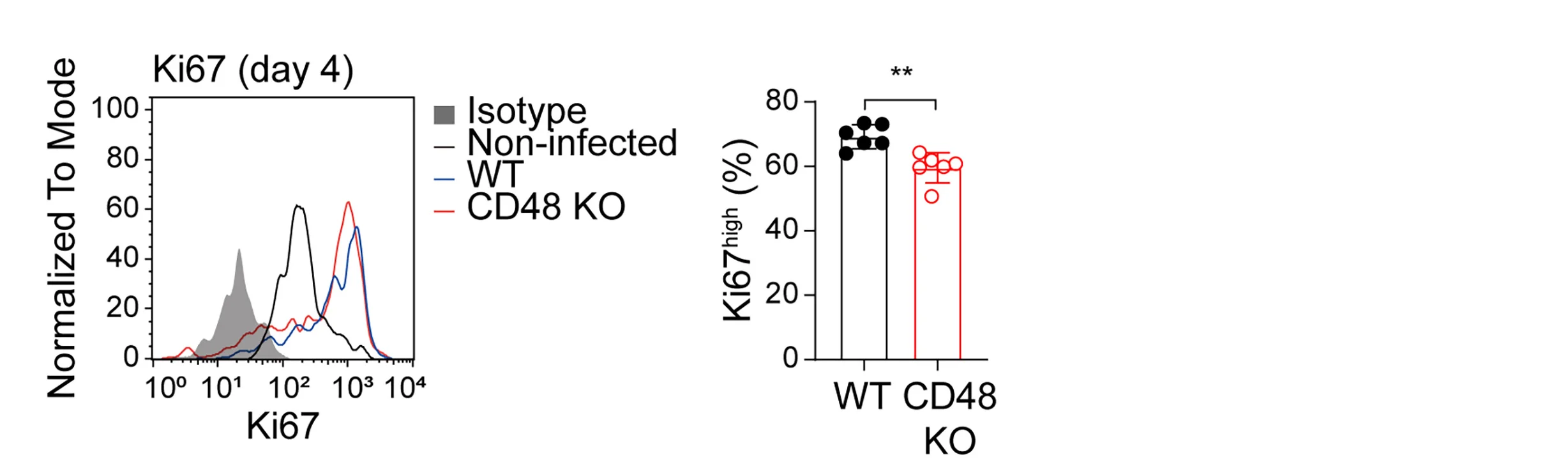Open access visualization of Histogram, Bar Plot, Ki67 Expression, Intracellular Staining, Ly49H+NK Cells