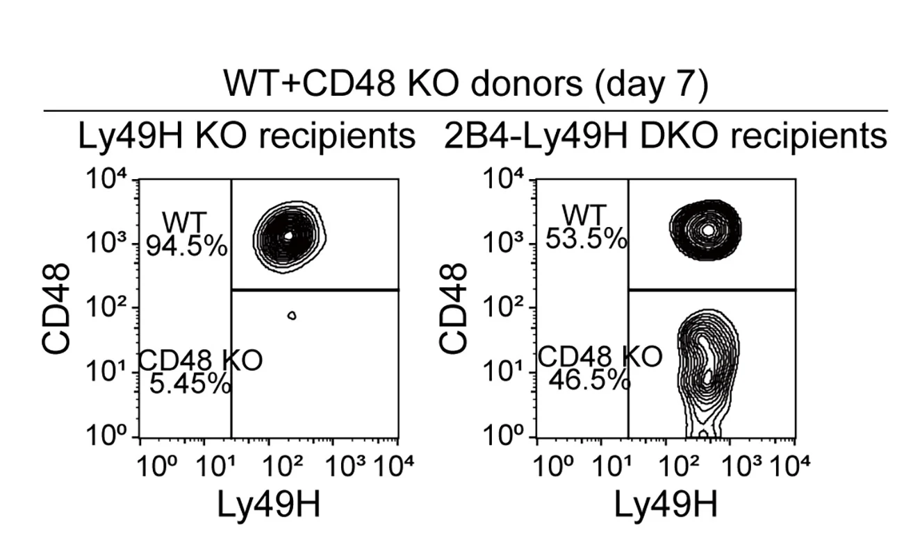 Open access visualization of Scatter Plot, Flow Cytometry, NK Cells, Ly49H, CD48
