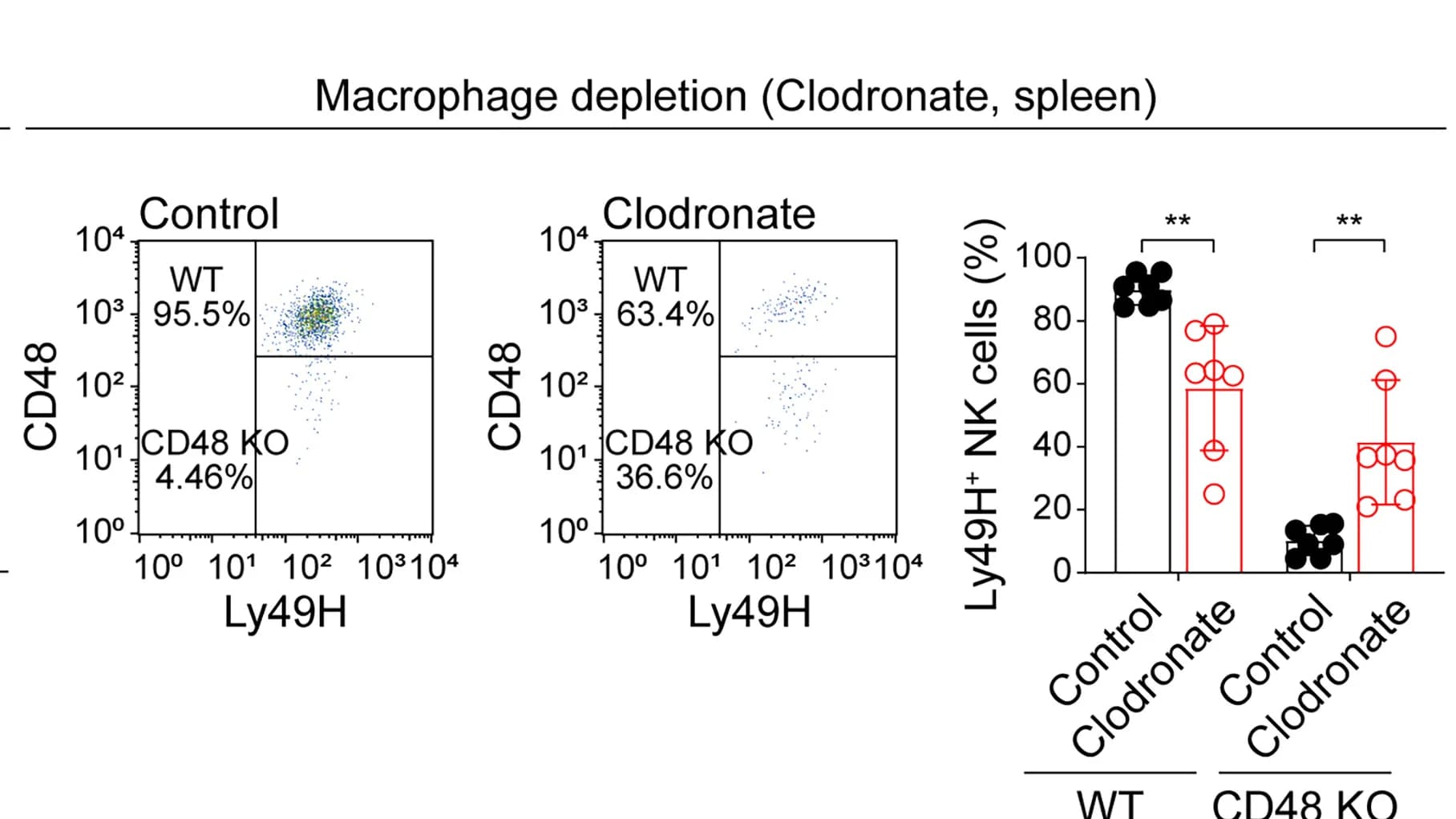 Open access visualization of Scatter Plot, Bar Plot, Error Bars, NK Cells, Mice