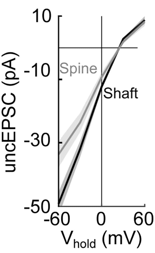 Open access visualization of Line Plot, Error Bars, Current-Voltage Relationship, Spine, Shaft