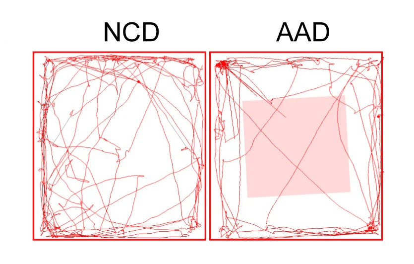 Open access visualization of Line Plot, Tracks, NCD, AAD, Open-Field Test