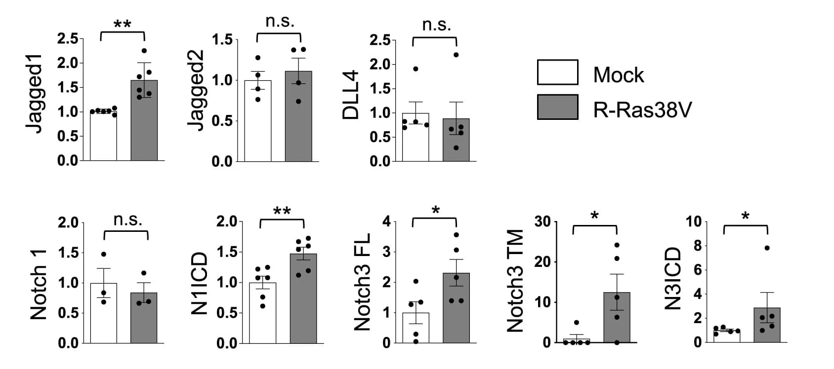 Open access visualization of Bar Plot, Error Bars, Scatter Plot, Quantification, Notch1