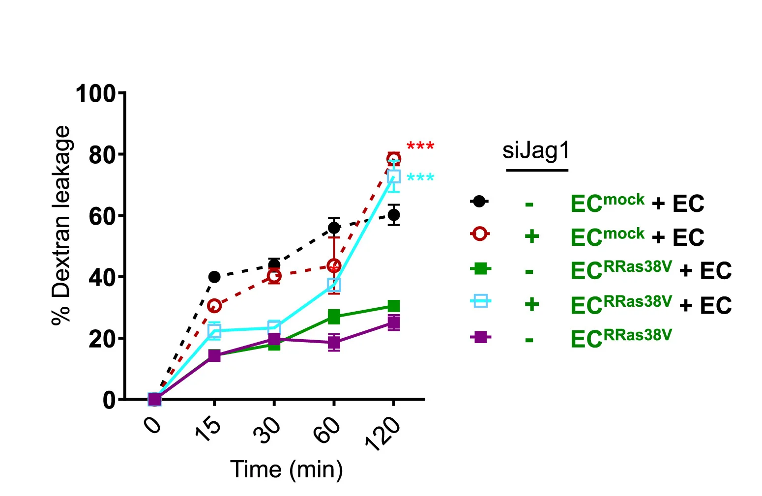 Open access visualization of Line Plot, Error Bars, Cell Culture, Endothelial Permeability, Dextran Leakage