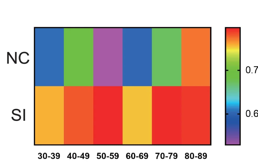 Open access visualization of Heatmap, CDX2-positive Cells, Cell Percentages