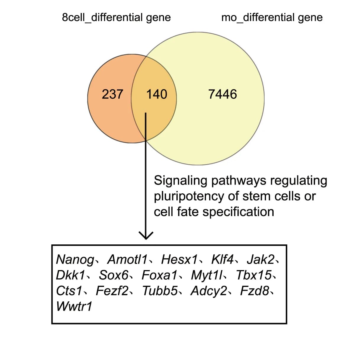 Open access visualization of Venn Diagram, Co-enrichment, Differential Genes, KEGG, Signaling Pathways