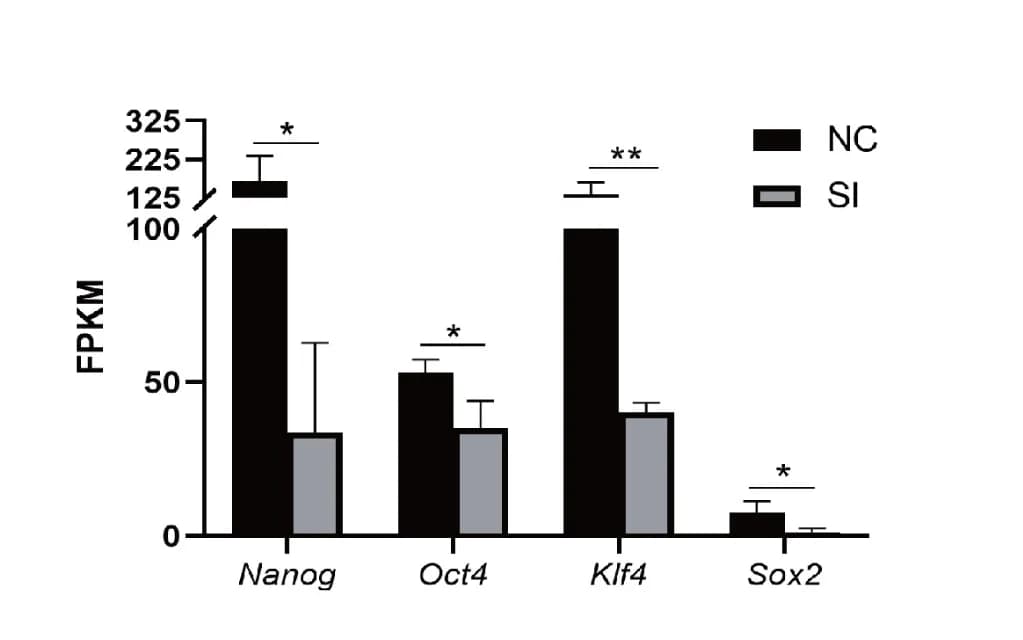 Open access visualization of Bar Plot, Clustered, Error Bars, FPKM Values, Pluripotent Genes