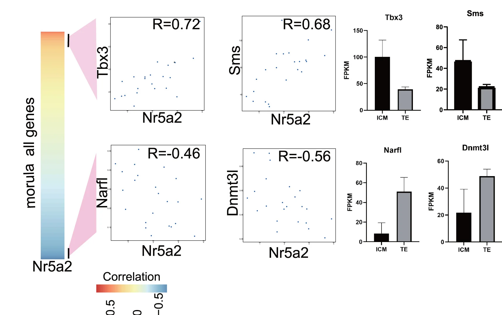 Open access visualization of Scatter Plot, Bar Plot, Error Bars, Heatmaps, Gene Expression