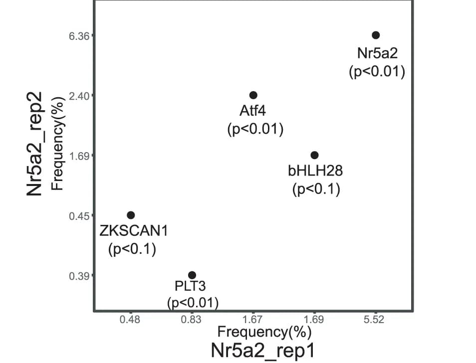 Open access visualization of Scatter Plot, Motifs, Nr5a2 Peaks, Morula Embryos, P Values
