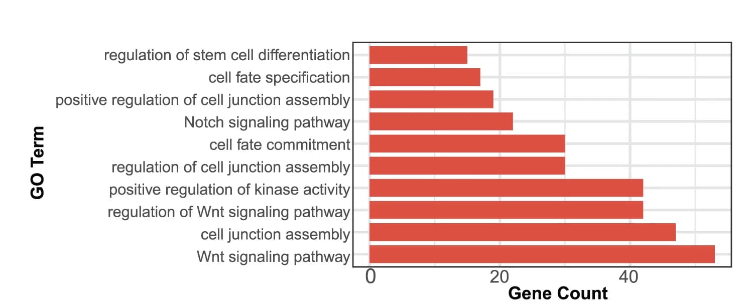 Open access visualization of Bar Plot, GO Analysis, Biological Processes, Genes, Nr5a2 CUT&Tag-Enriched Peaks
