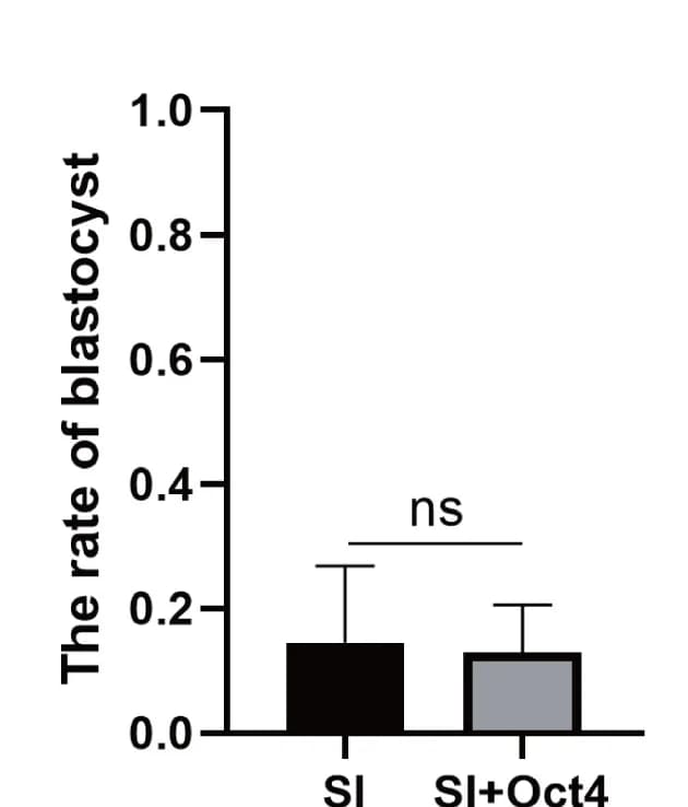 Open access visualization of Bar Plot, Error Bars, Clustered, Blastocyst Rate, Embryo Injection