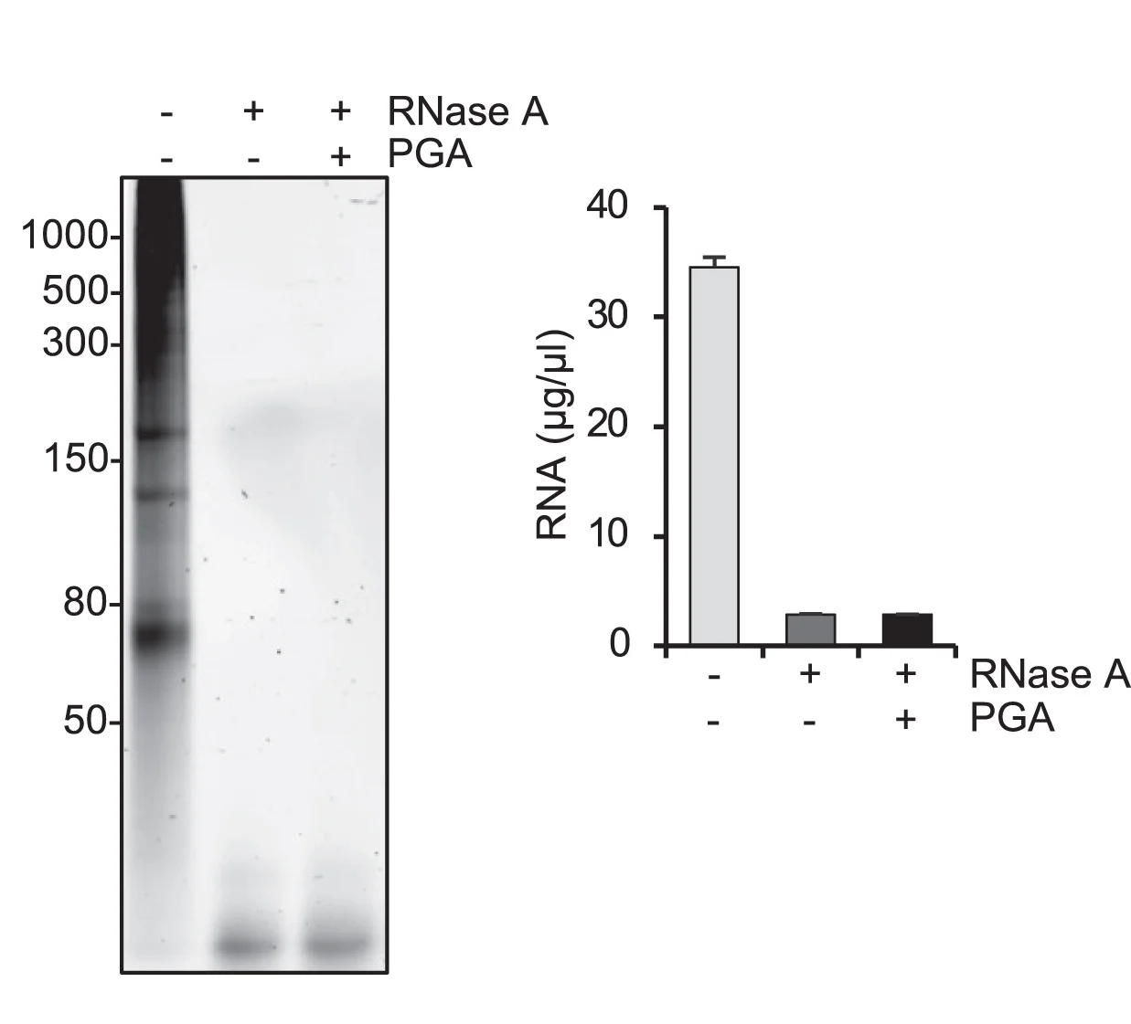 Open access visualization of Bar Plot, Error Bars, Gel, TBE-Urea PAGE, RNA
