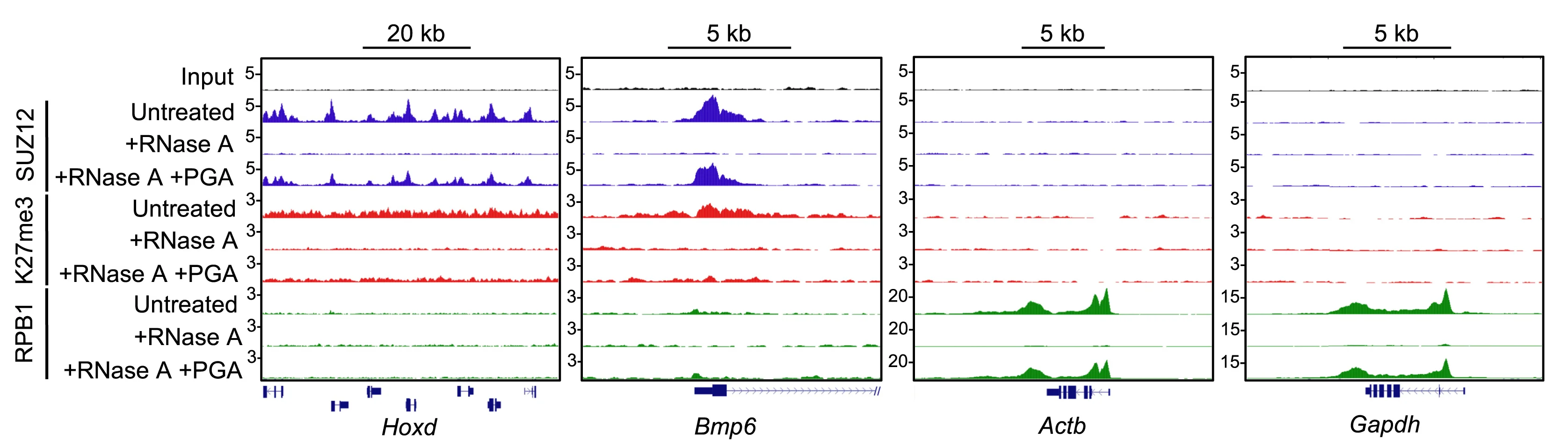 Open access visualization of Line Plot, Density Plot, Genome Browser, Hoxdcluster, Bmp6