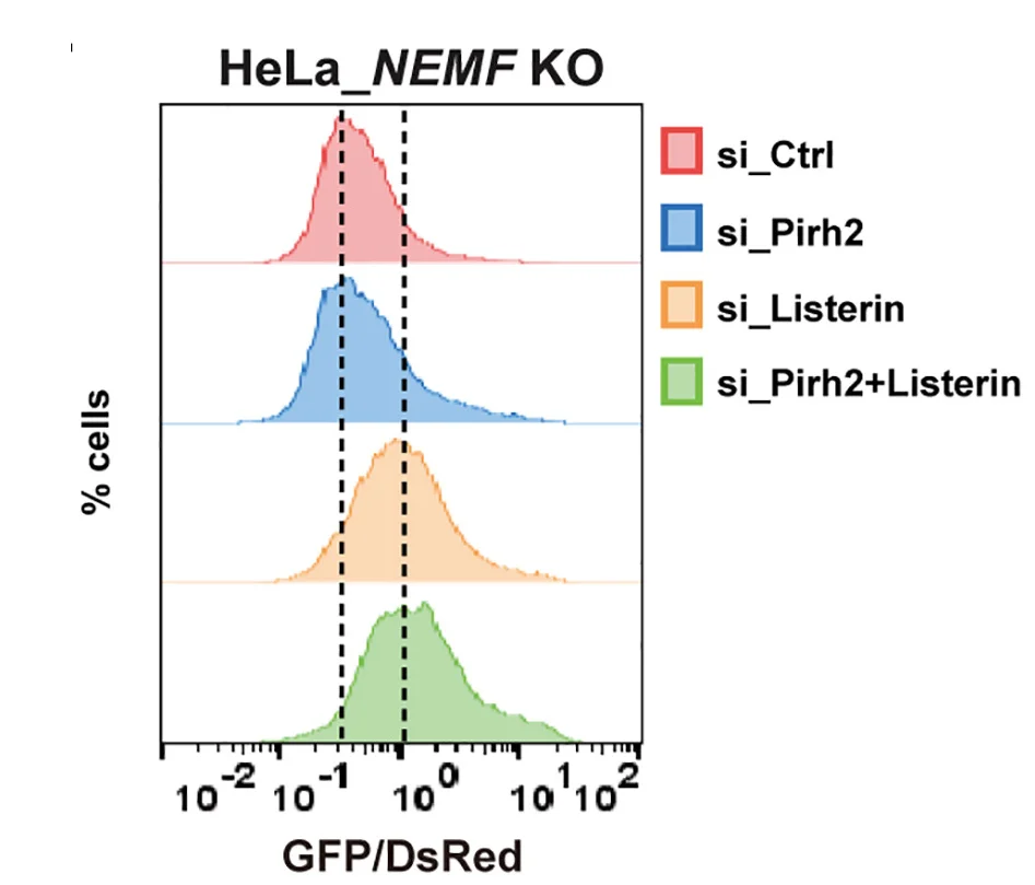 Open access visualization of Density Plot, Line Plot, mitoGFPns Expression, HeLa Cells, HeLa_NEMFKO Cells
