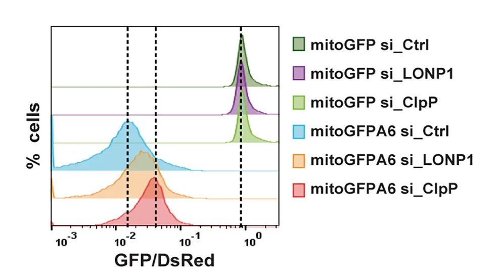 Open access visualization of Density Plot, Line Plot, RPE1 Cells, DsRed-IRES-mitoGFP, mitoGFP