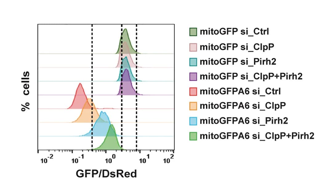 Open access visualization of Density Plot, Line Plot, RPE1 Cells, mitoGFP, mitoGFPA6