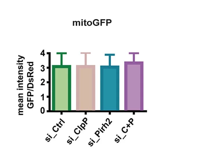 Open access visualization of Bar Plot, Error Bars, Independent Experiments, Flow Cytometry
