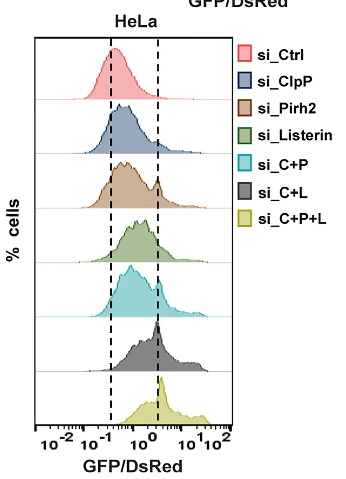 Open access visualization of Density Plot, Ridge Plot, HeLa Cells, HeLa_NEMFKO Cells, siRNA
