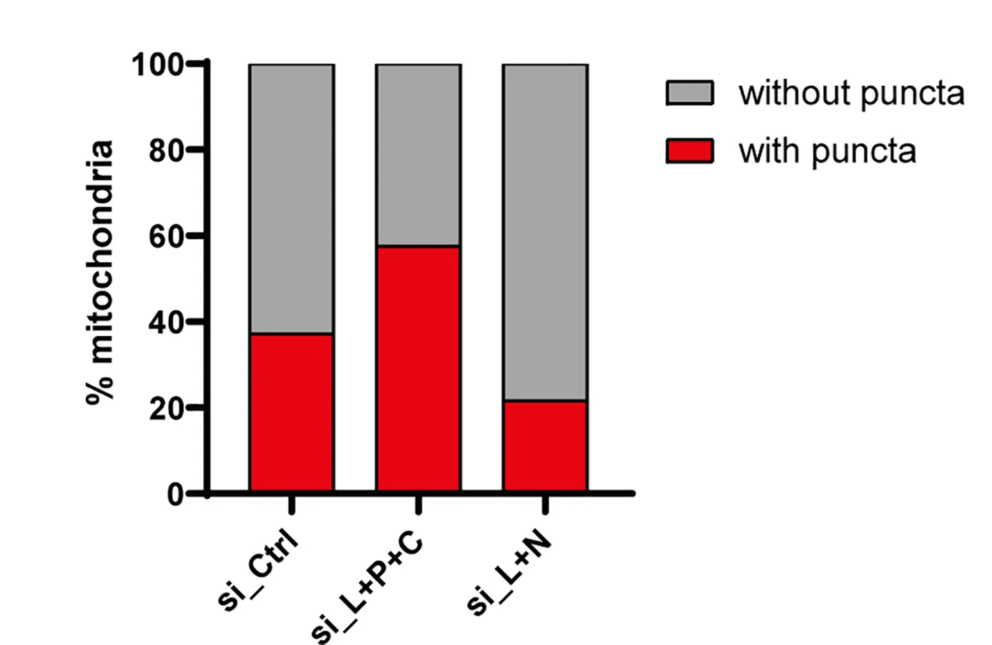 Open access visualization of Stacked Bar Plot, Mitochondria, Puncta, HEK293T Cells, siRNAs