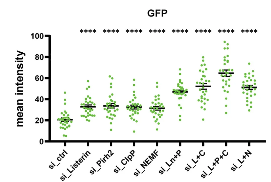 Open access visualization of Scatter Plot, Error Bars, Fluorescence Intensity, GFP, siRNAs