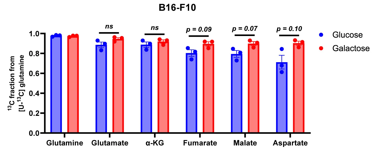 Open access visualization of Bar Plot, Error Bars, Clustered, 13C Fraction, TCA Cycle