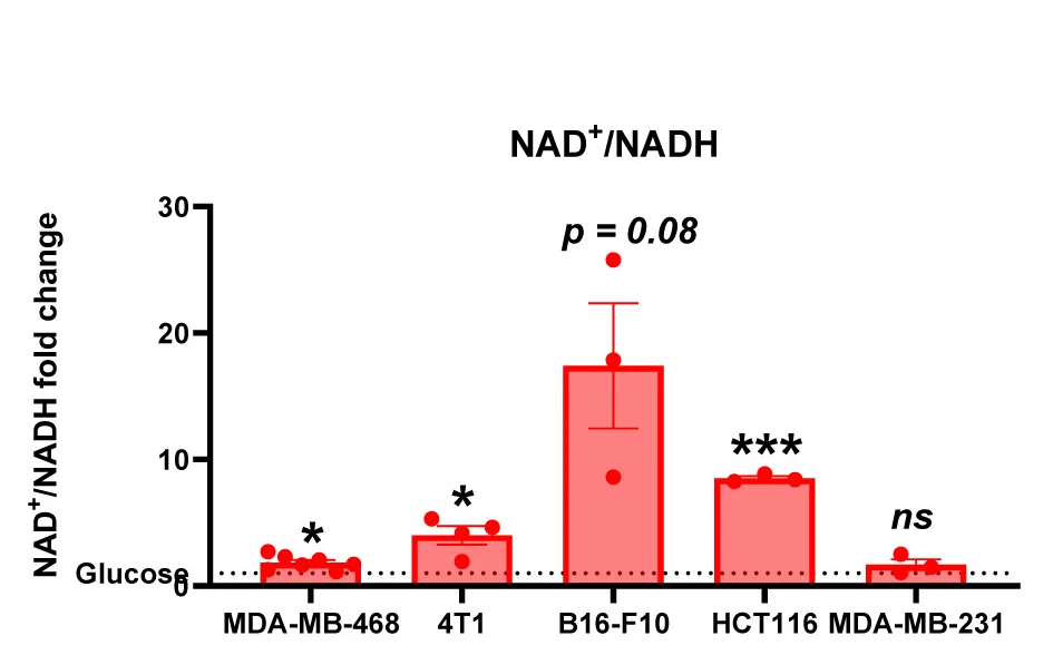 Open access visualization of Bar Plot, Error Bars, Scatter Plot, NAD+/NADH Ratio, LC-MS