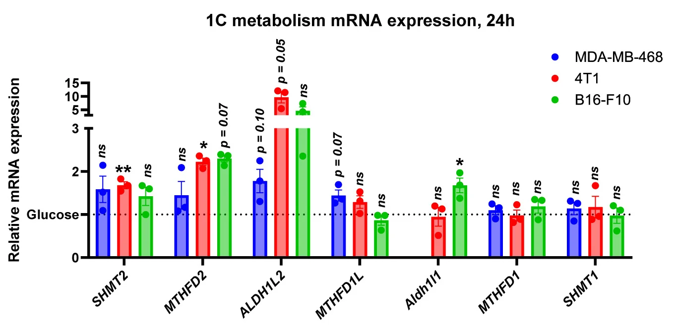 Open access visualization of Bar Plot, Error Bars, Clustered, Scatter Plot, mRNA Expression