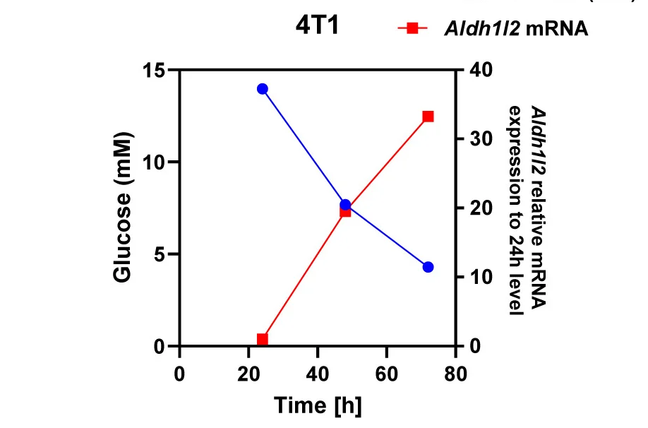 Open access visualization of Line Plot, Glucose Concentration, 4T1 Cells, ALDH1L2 mRNA Expression, GAPDH