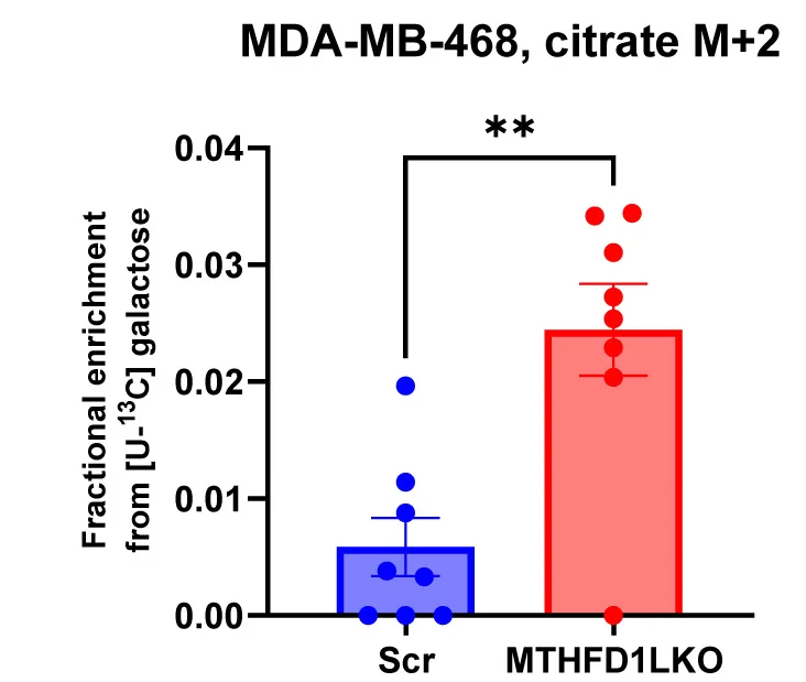 Open access visualization of Bar Plot, Scatter Plot, Error Bars, Fractional Enrichment, 13C-Galactose