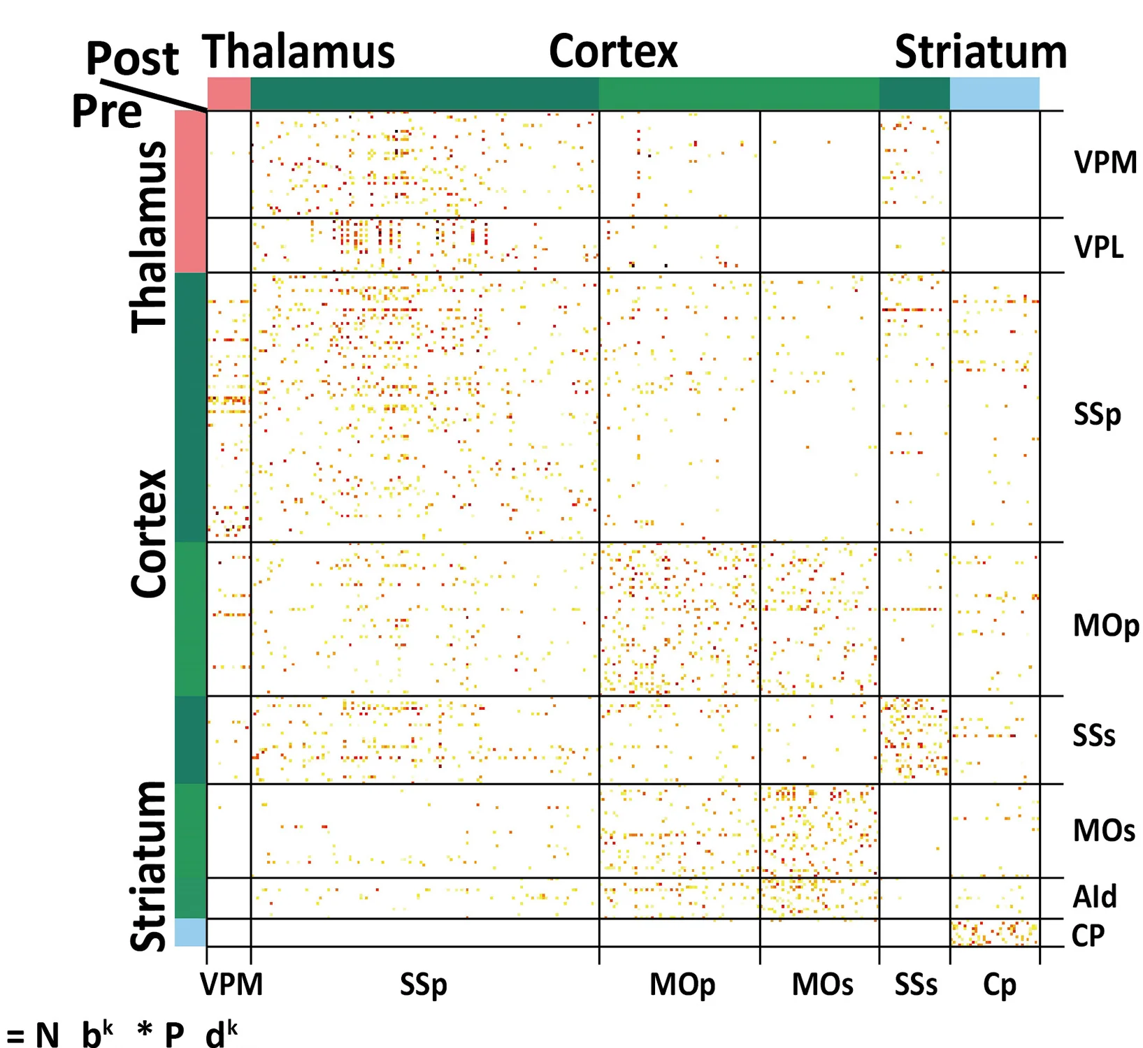 Open access visualization of Heatmap, Visualization, Subset, Pre-Synaptic Neurons, Post-Synaptic Neurons