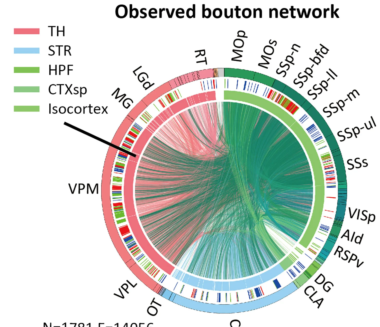 Open access visualization of Chord, Network, Single-Cell Networks, Bouton Data, Neuron Soma Location