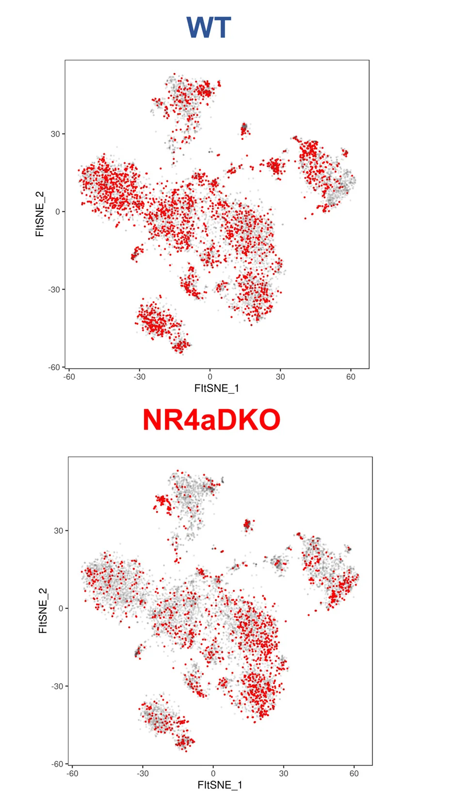 Open access visualization of Scatter Plot, UMAP, Cell Distribution, Tumors, WT Mice