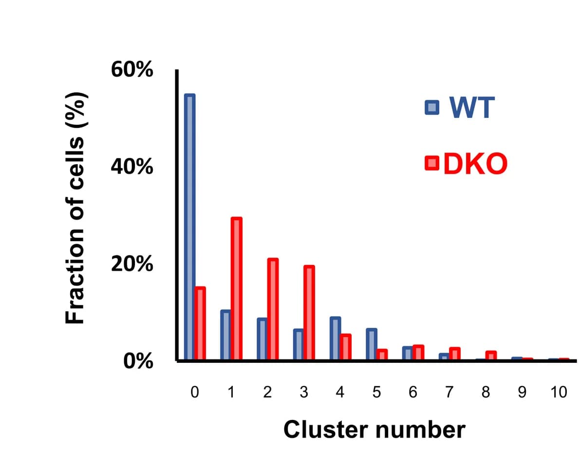 Open access visualization of Bar Plot, Clustered, Cell Fraction, Clusters