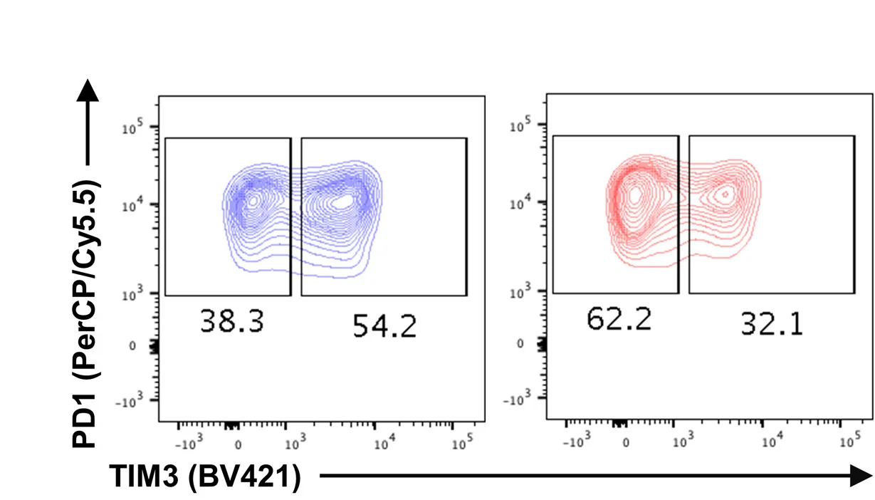 Open access visualization of Scatter Plot, Density Plot, Fluorescence-Activated Cell Sorting, FACS Profile, WT CD8+ TILs