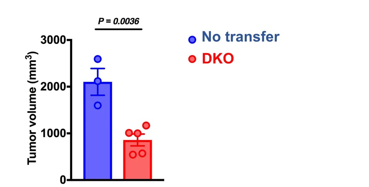 Open access visualization of Bar Plot, Error Bars, Scatter Plot, Bar Graph, Tumor Volume
