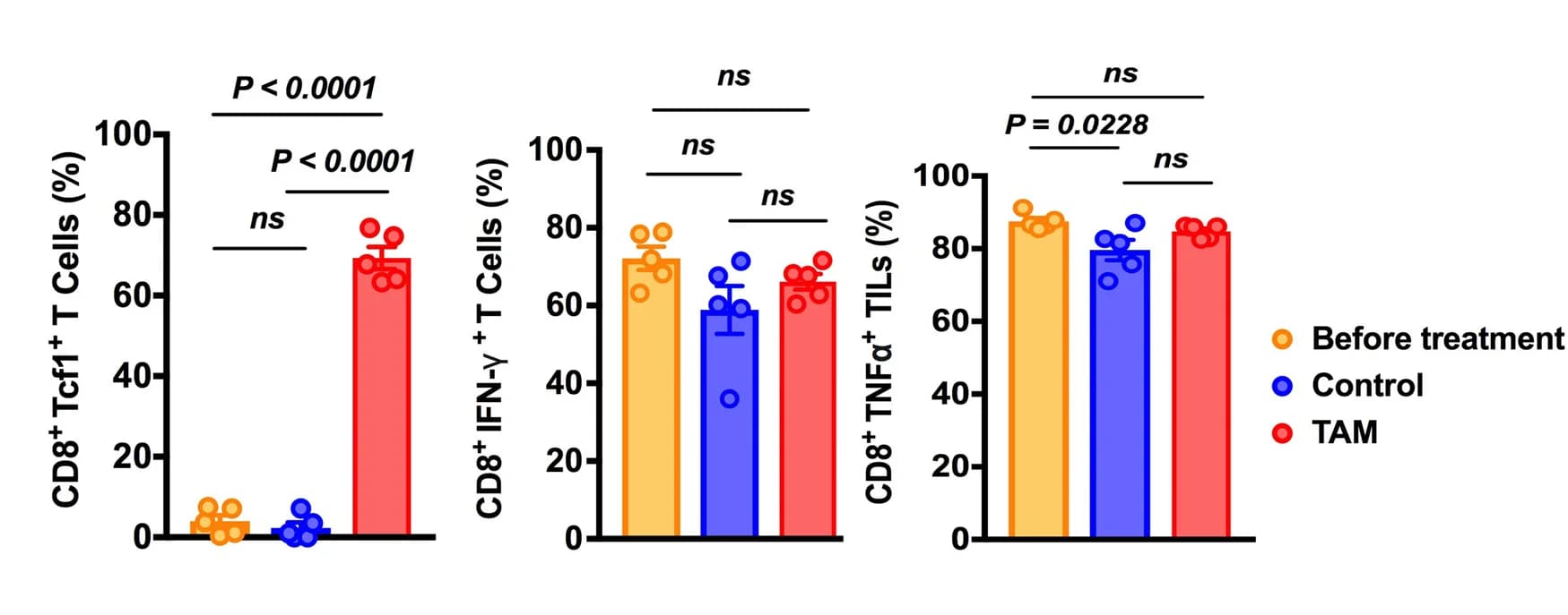 Open access visualization of Bar Plot, Error Bars, Clustered, Scatter Plot, TCF1 Protein