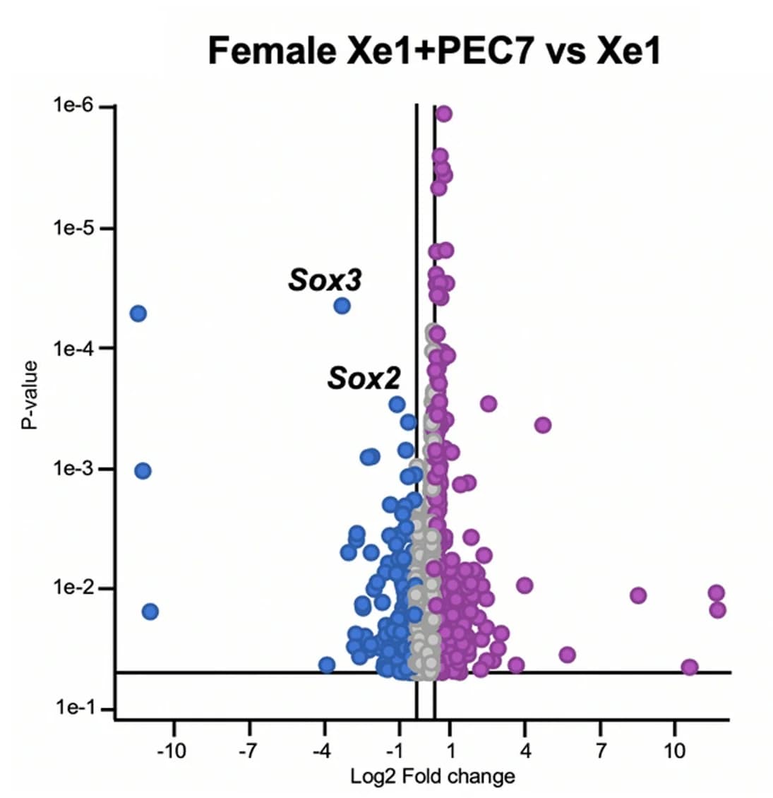 Open access visualization of Volcano Plot, Scatter Plot, Volcano Plots, Transcriptional Changes, Gene Expression